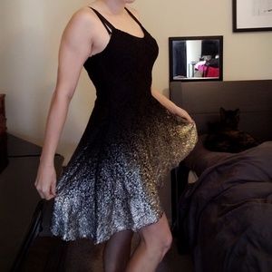 Free People  lace skater dress ombre metallic